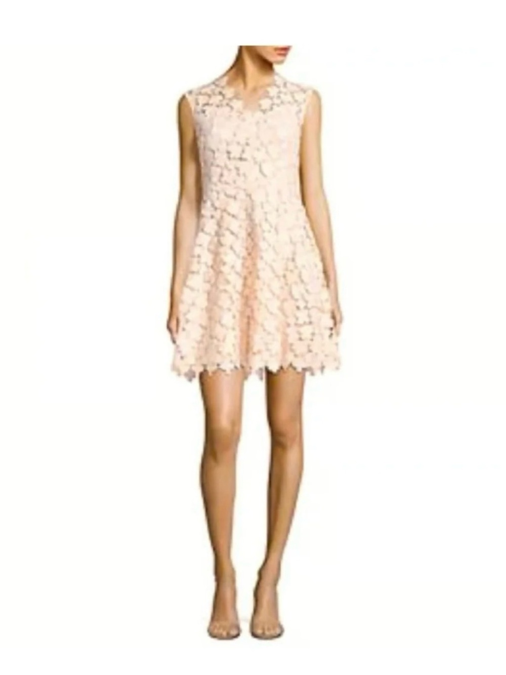 Amazing Shoshanna Sleeveless Floral Lace Fit-and-Flare Dress in Blush
